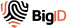 bigid-logo.png