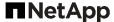 netapp-logo-.png